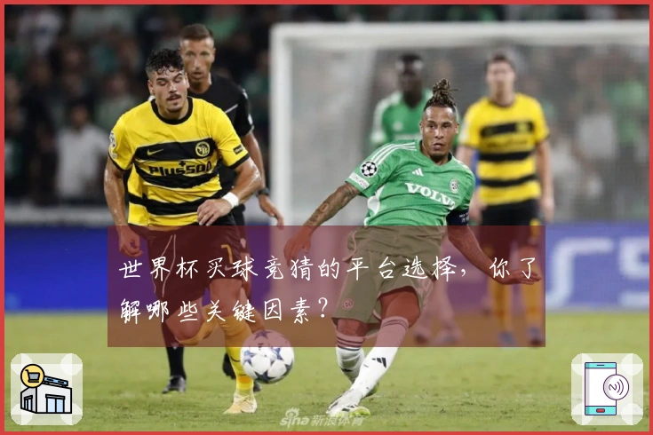 世界杯买球竞猜的平台选择，你了解哪些关键因素？