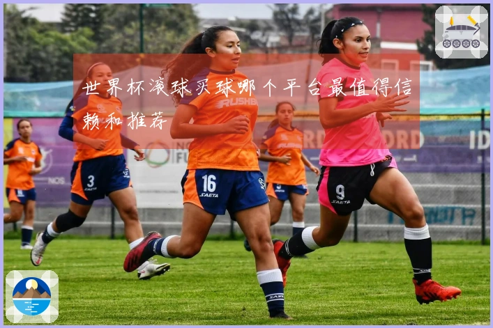 世界杯滚球买球哪个平台最值得信赖和推荐