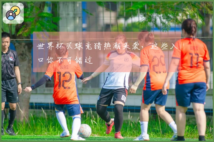 世界杯买球竞猜热潮来袭，这些入口你不可错过