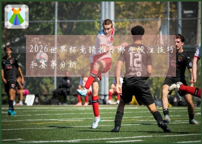 2026世界杯竞猜推荐哪些投注技巧和赛事分析