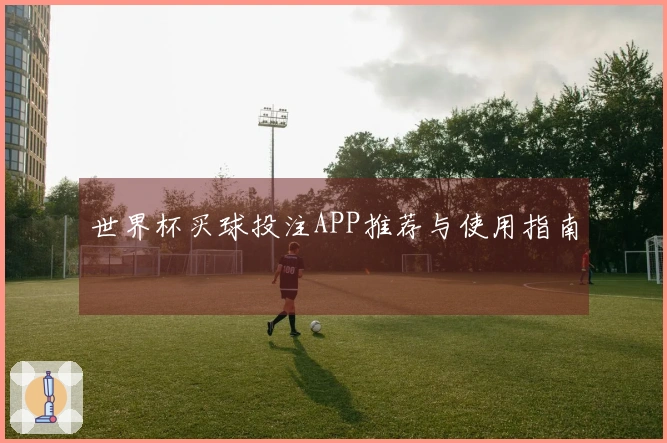 世界杯买球投注APP推荐与使用指南