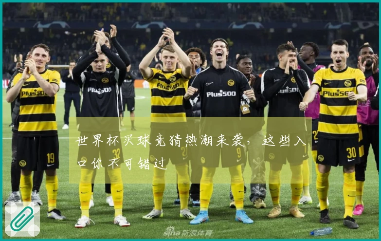 世界杯买球竞猜热潮来袭，这些入口你不可错过