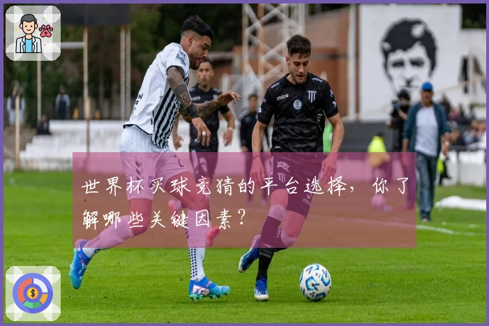 世界杯买球竞猜的平台选择，你了解哪些关键因素？